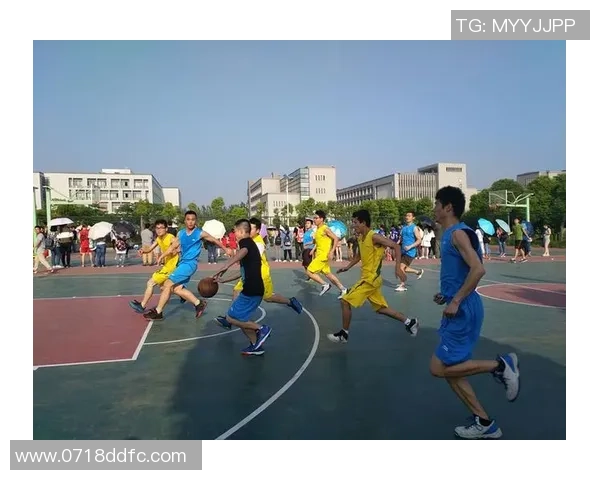 陈敏独家:分享篮球心得